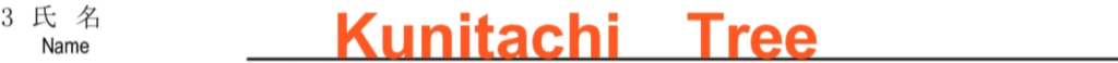 配偶者ビザの在留資格認定証明書交付申請書の記入例 - ３. 申請人の氏名